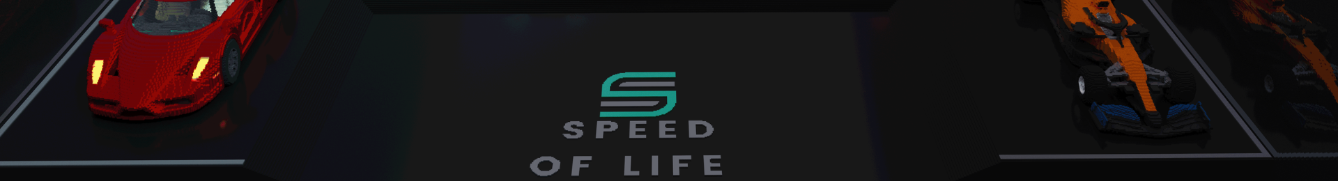 speed of life banner
